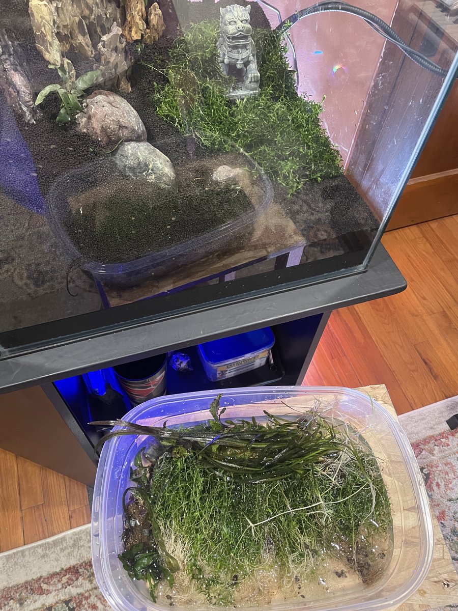 Wonderful 🌍 💯 percent trust. tweet media