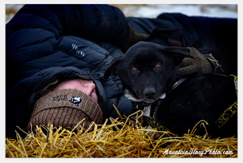 BuffaloRon tweet media