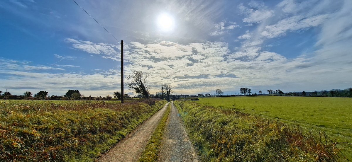 Patrick Kenealy tweet media