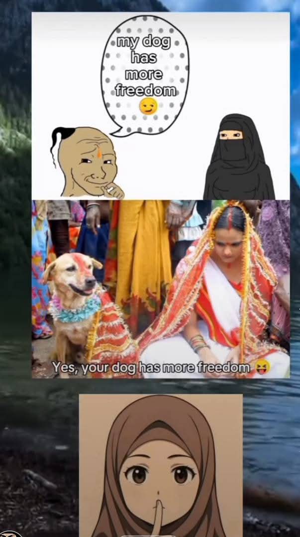 Alima Shazia Hijabi tweet media