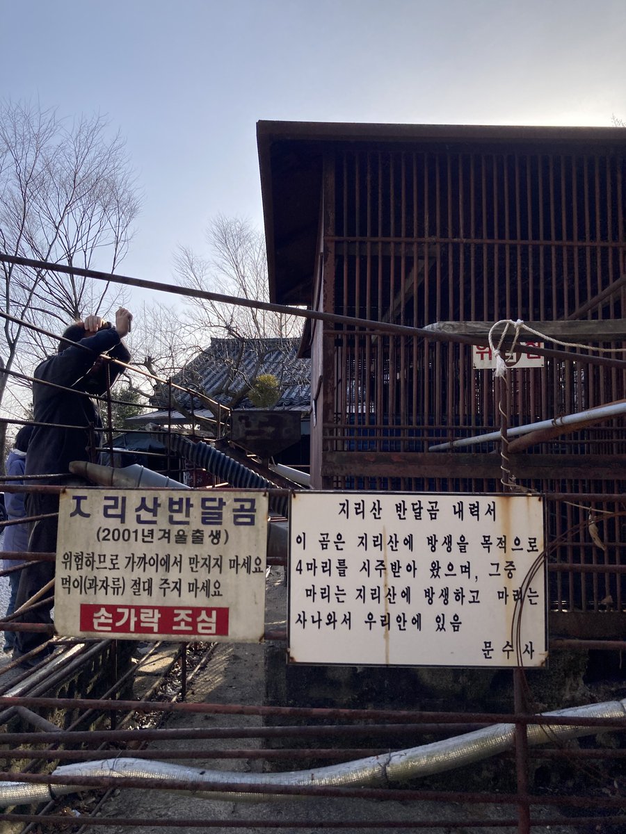 박성율- #ClimateEmergency #강원생명평화기도회 #강원생태네트워크 tweet media