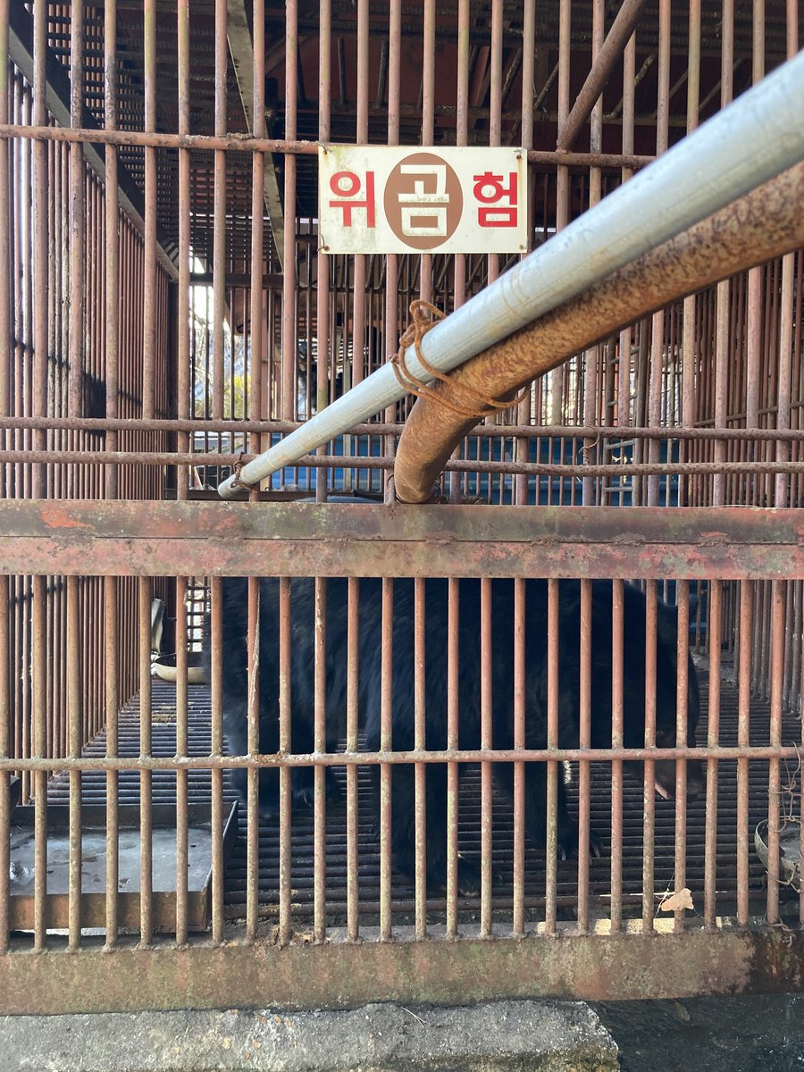 박성율- #ClimateEmergency #강원생명평화기도회 #강원생태네트워크 tweet media