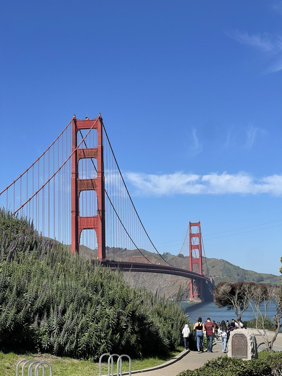 Stuart Bladon tweet media