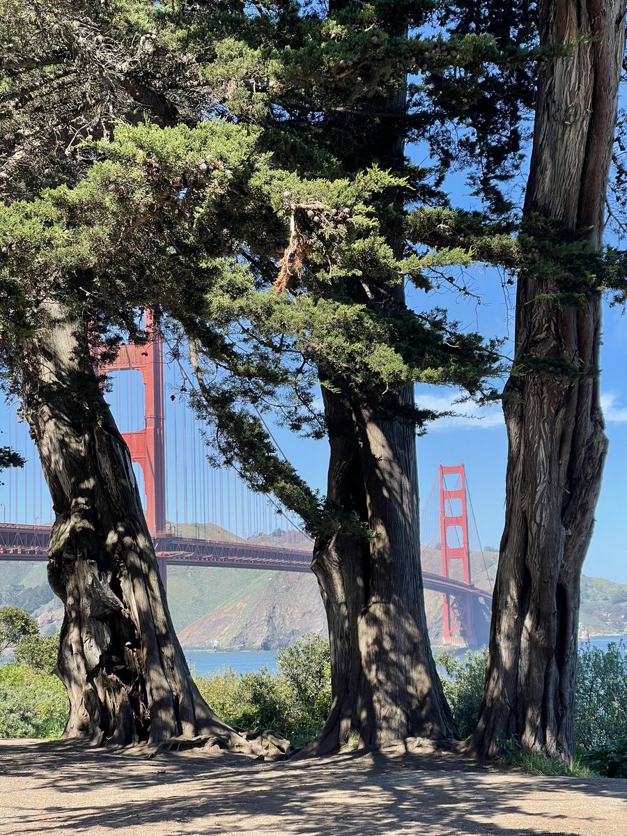 Stuart Bladon tweet media