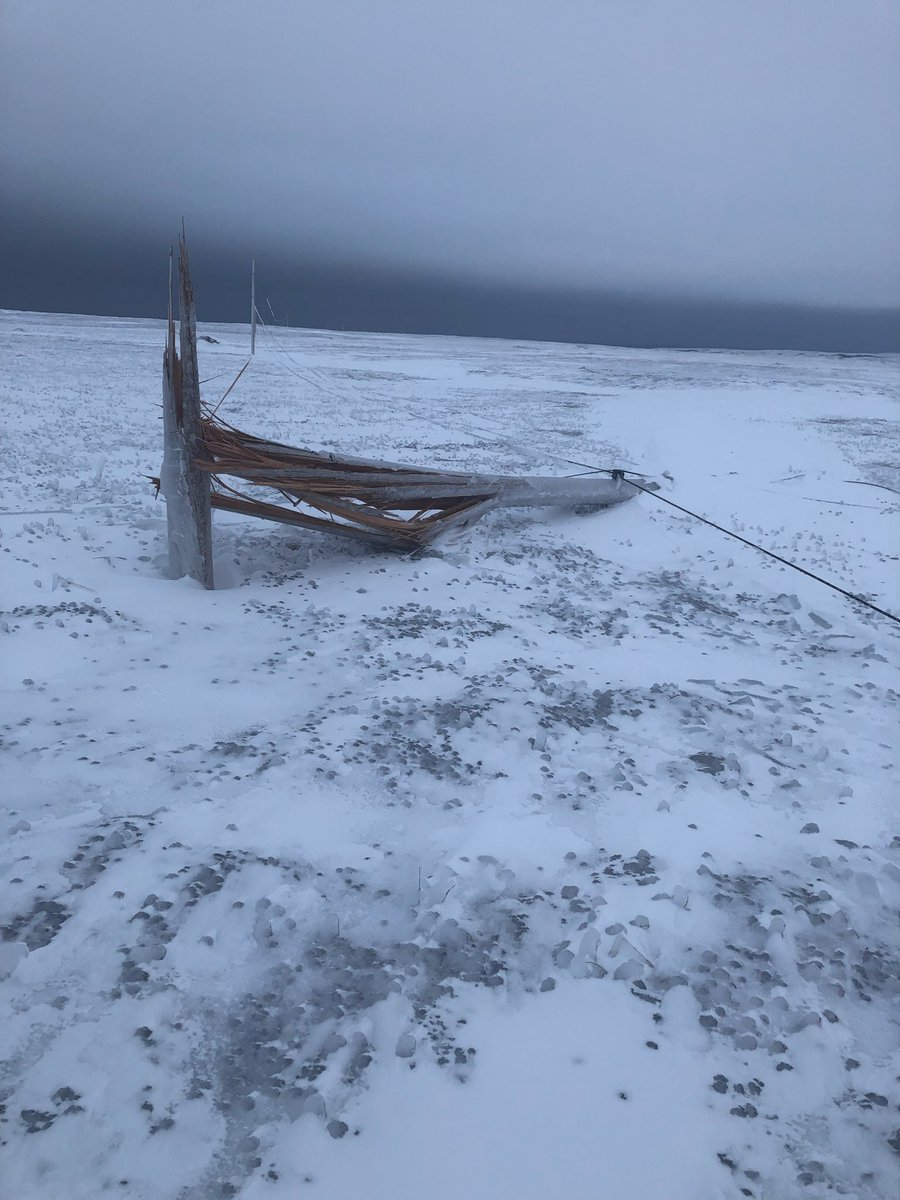 2 years ago today a significant freezing rain storm impacted the extreme Southern Avalon. Ice accretion was about 20mm on exposed surfaces combined with E winds of 80km/h. Resulting in approximately 55 <a href="/NFPower/">Newfoundland Power</a> poles needing replacement at St. Shotts &amp; Cape Pine. #NLwx