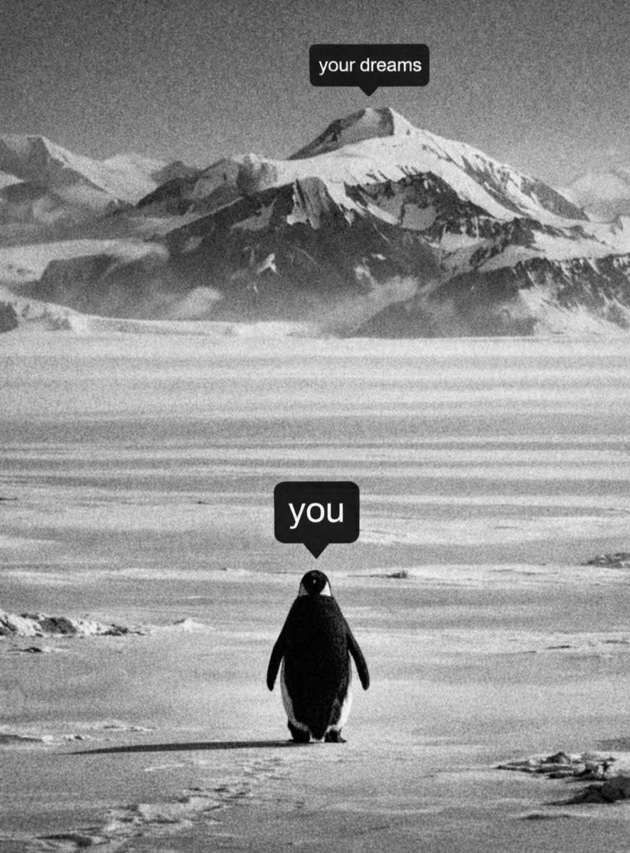 AllyssaBoMa's tweet photo. Keep walking. That peak is waiting. https://t.co/lyMRH5xWWq