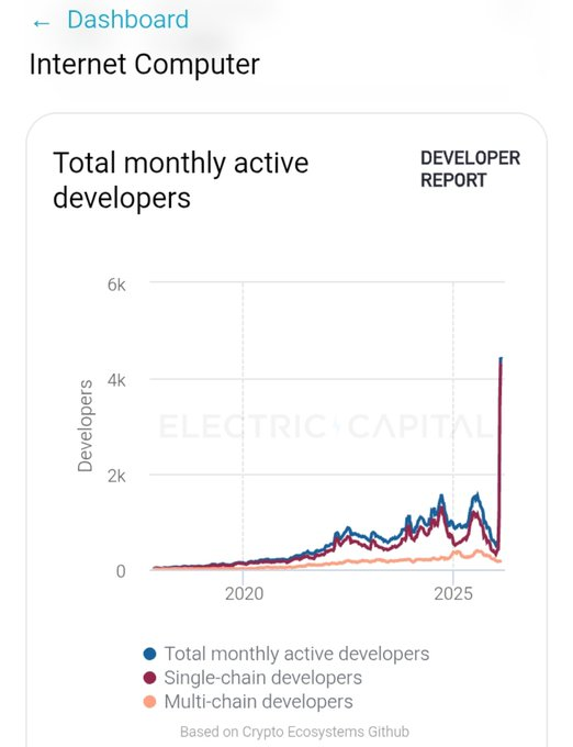 JUST IN: The Internet Computer is buzzing! 🚀 Monthly active developers ...