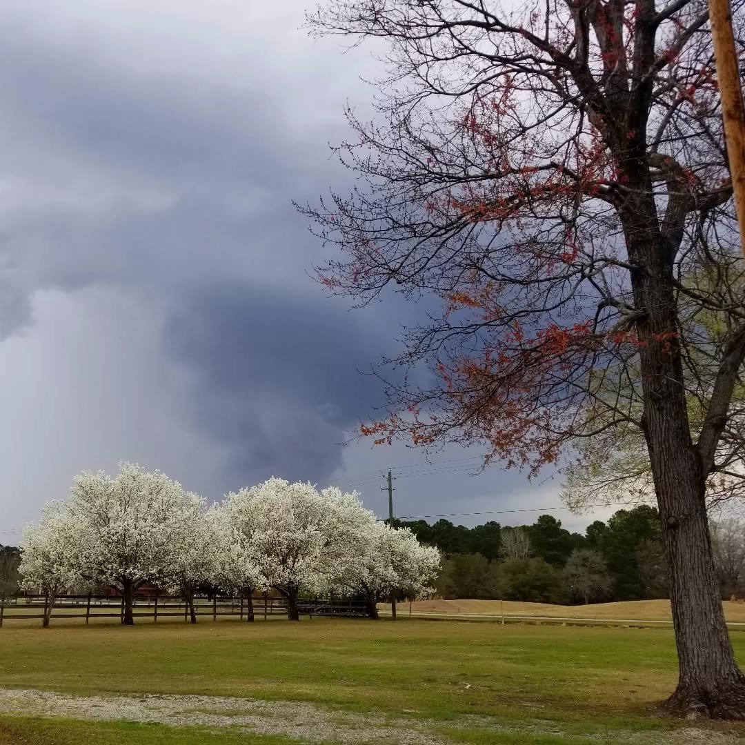 DavidNews2U's tweet photo. Earlier storm that rolled just north of my area in southeast Florence.
@jamiearnoldWMBF @AndrewWMBF @EdPiotrowski @jgreenhillwx @ScottyPowellWX https://t.co/VDP0np7Dxl