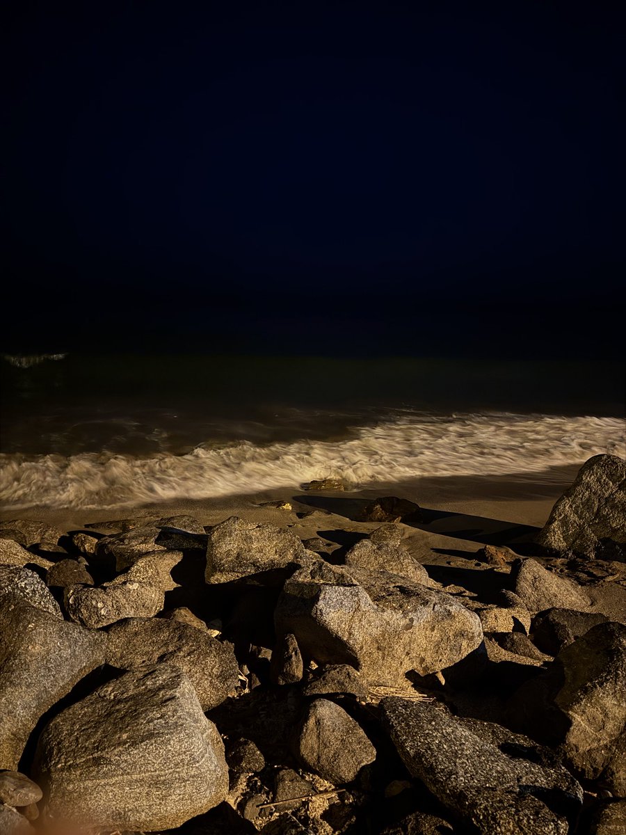 وَرْد✨ tweet media