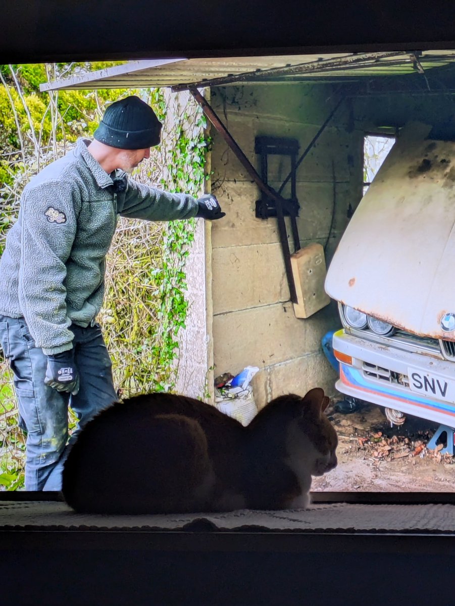 Noneotherthan Doug Hall Ⓥ💚🌱 tweet media