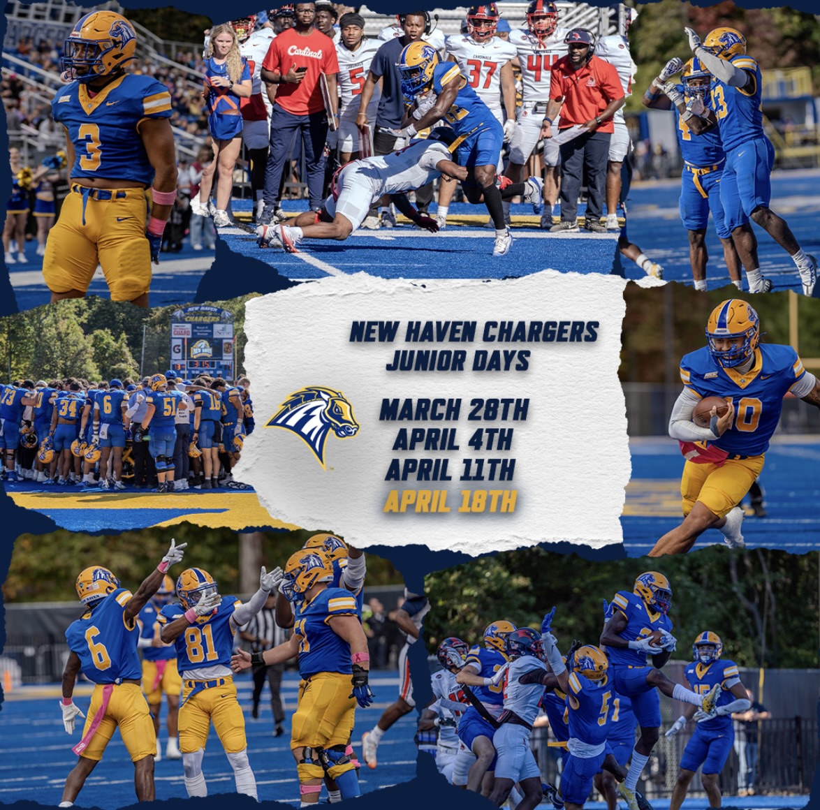 Peter Alexopoulos tweet media