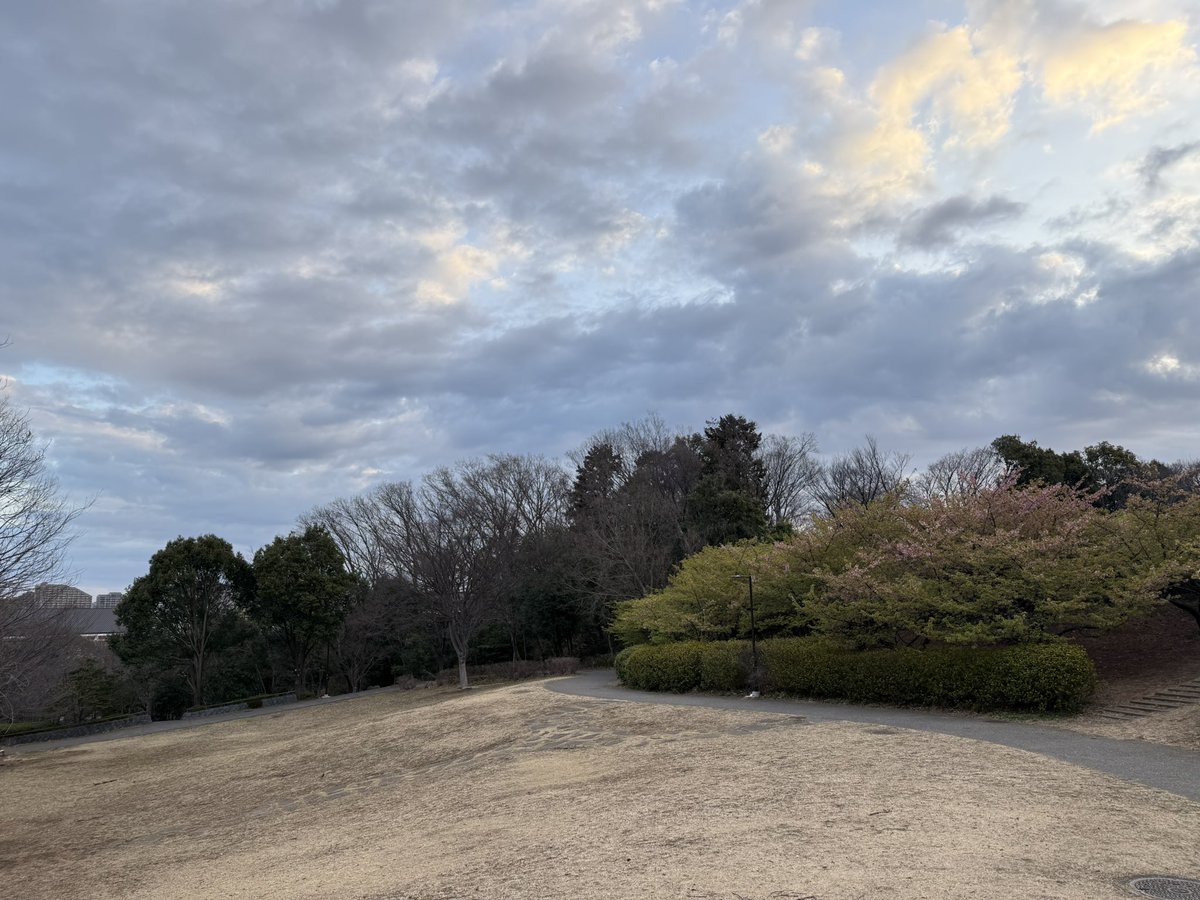 tsukui tweet media