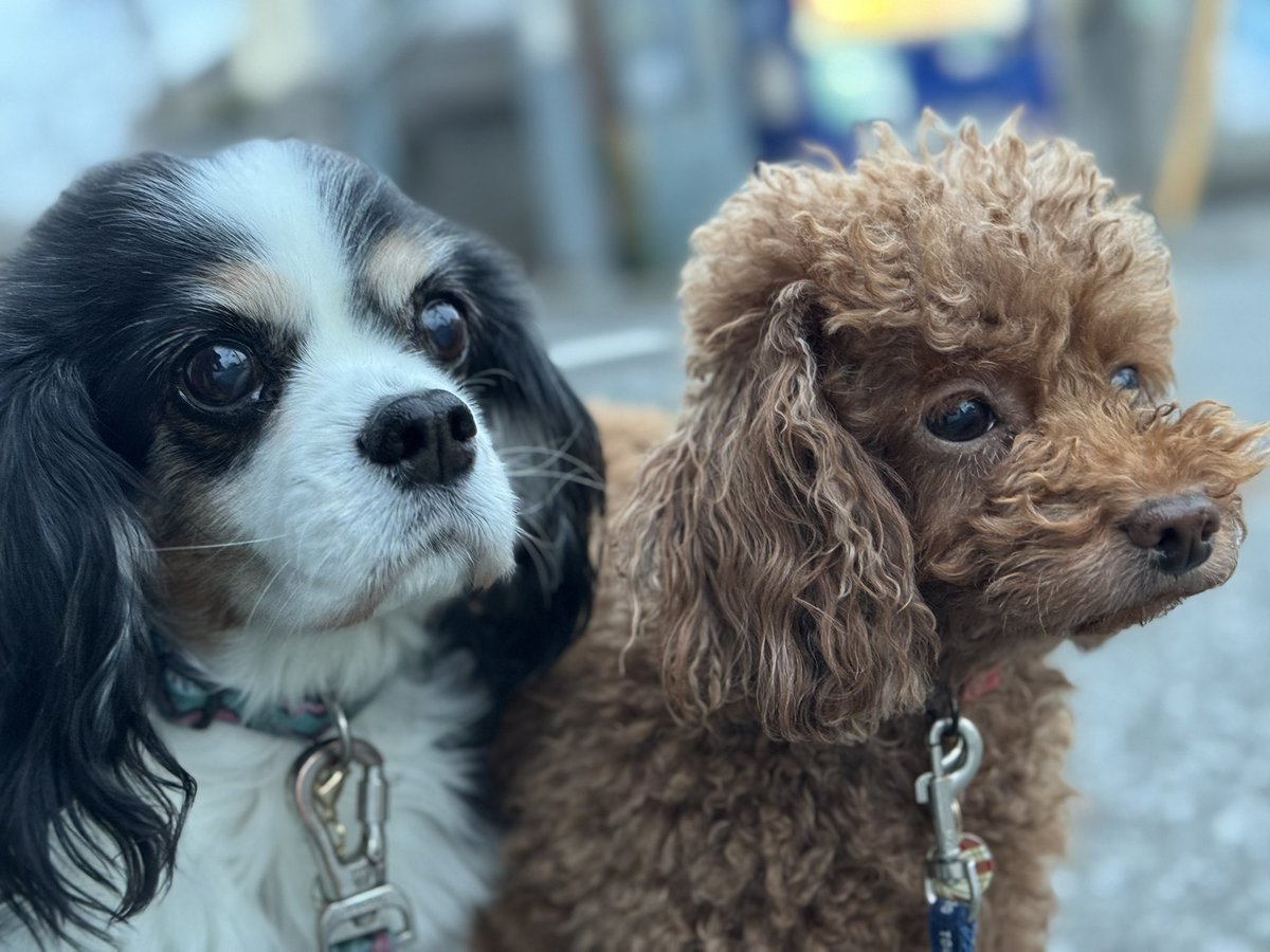 門田充宏 / Mitsuhiro Monden tweet media