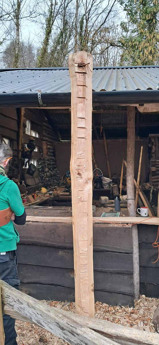 Wayne Jones tweet media