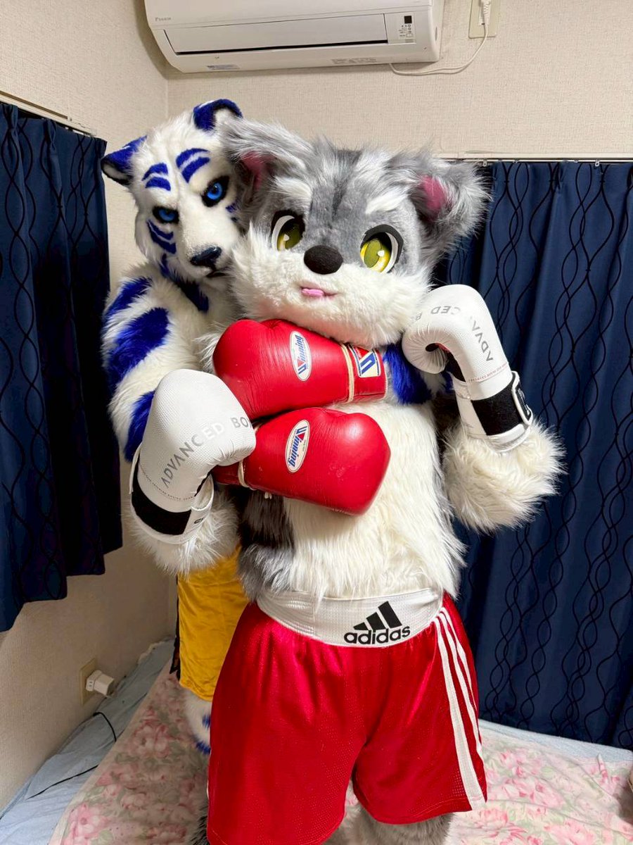 Samuel Vesper😾🥊+ Coodinal😺🪄🔜以茶會毛26 tweet media