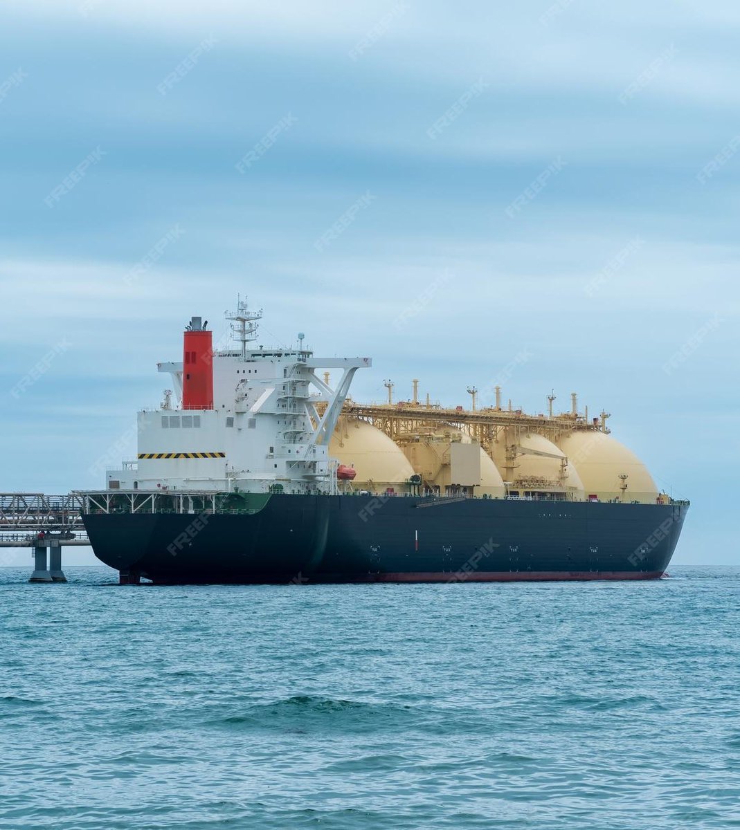 Criminal Penguin tweet media