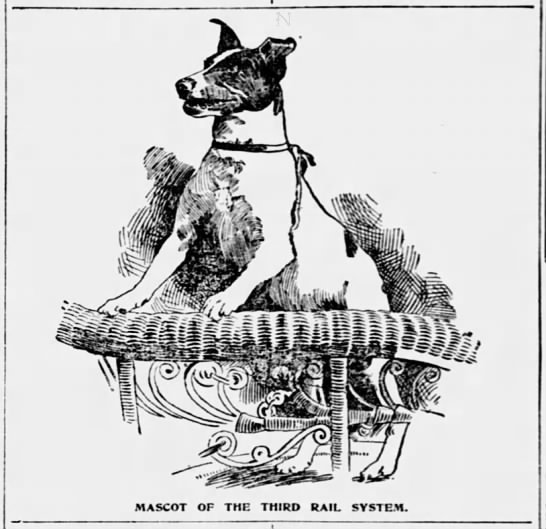 Early Sports 'n' Pop Culture History Blog tweet media