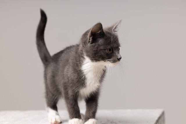 Jasmine Thompson tweet media