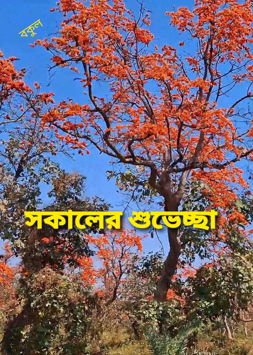 BSantra's tweet photo. সকল বন্ধুদের জন্য https://t.co/zsK8KKhKyP