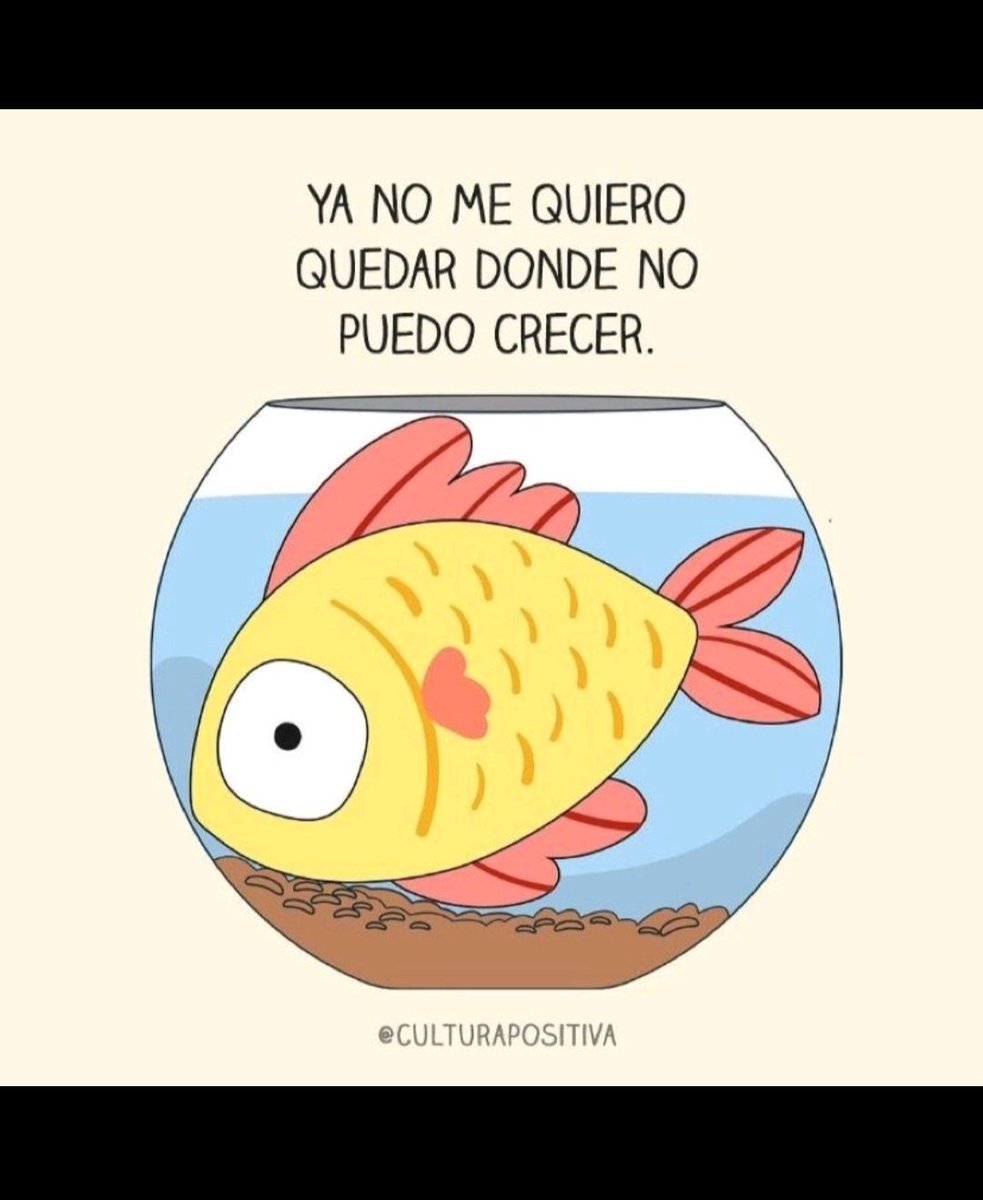 Karla Ferreiro (@mystifa) on Twitter photo 