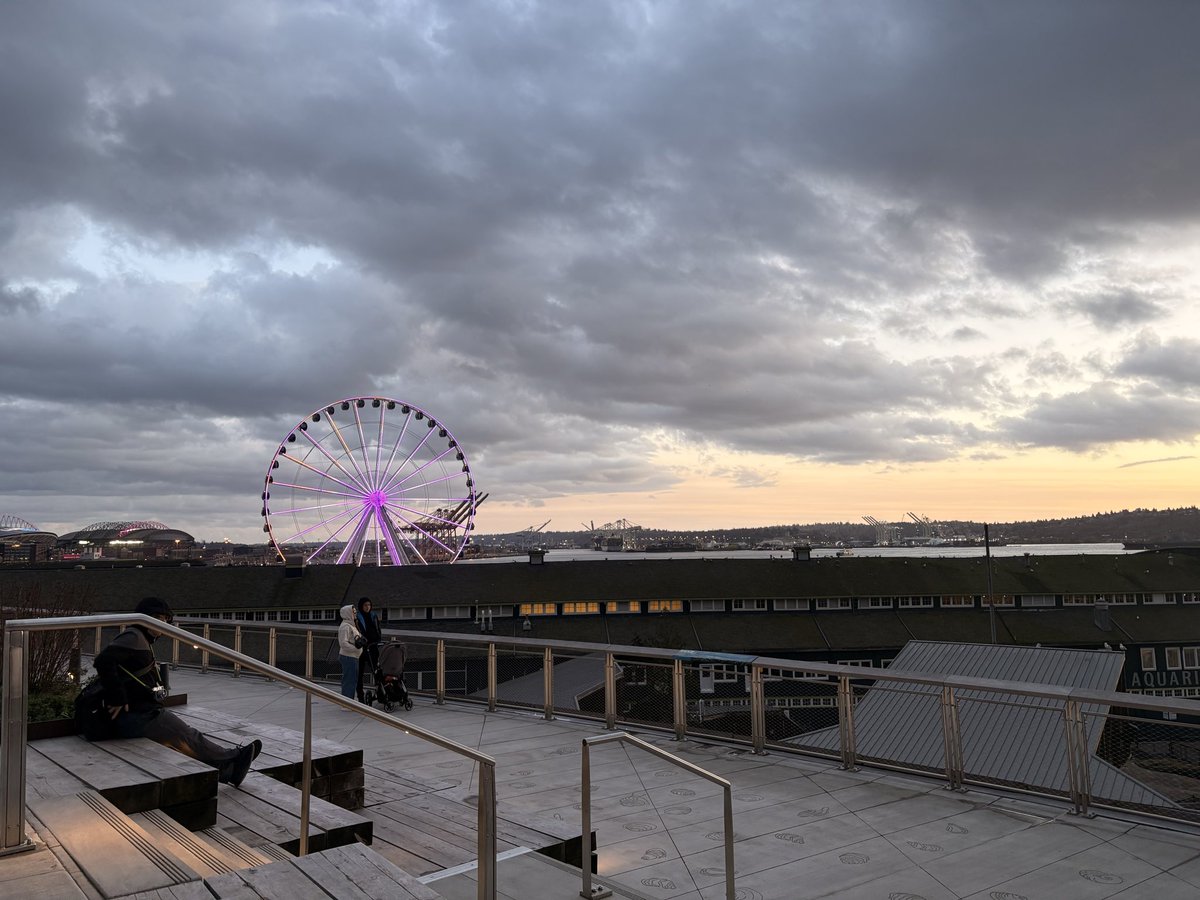 em 🕷️ tweet media