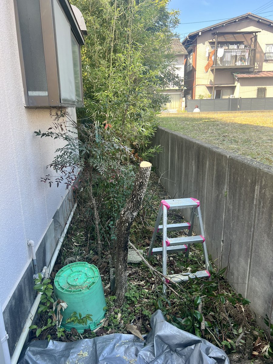 keyzakdti's tweet photo. ハンドチェンソー便利 https://t.co/v6swkuDsyq