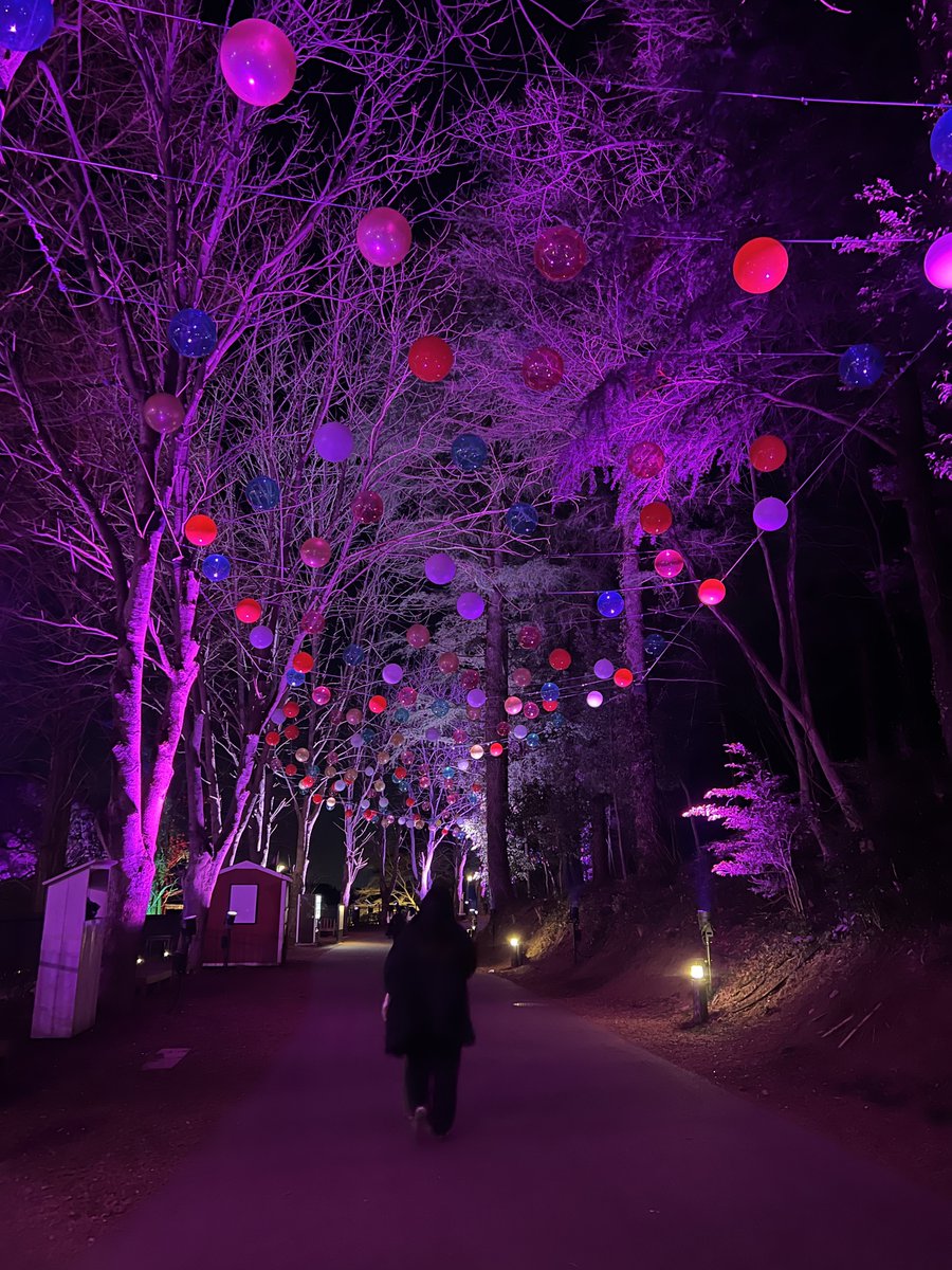 むぎむぎざうるす tweet media