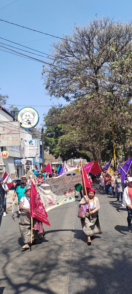 UNDECIoaxaca's tweet photo. Día Internacional de la mujer, #UNDECI saliendo a la calle a defender la lucha de las compañeras #mujeres https://t.co/LBw4gWMnS6