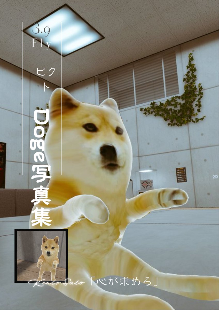 pikuto0912's tweet photo. おはよう
#ガチ変な犬
#Doge3D https://t.co/a22Gv4BOWA