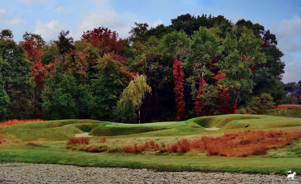 LinksGems tweet media