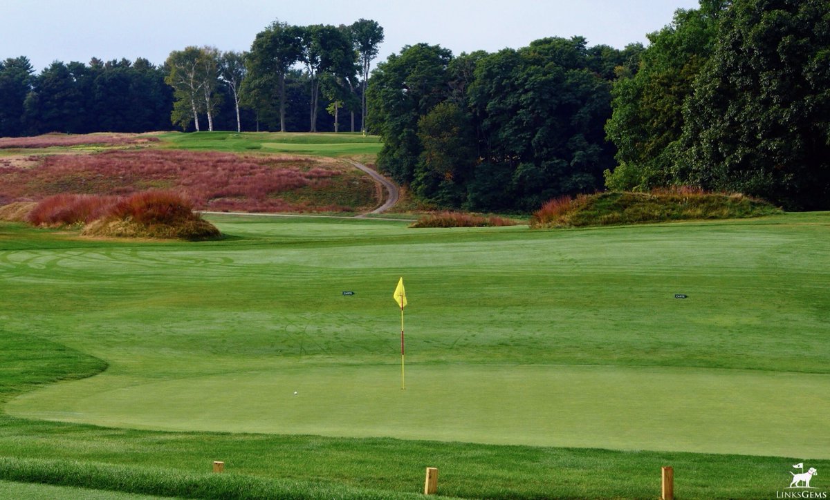 LinksGems tweet media