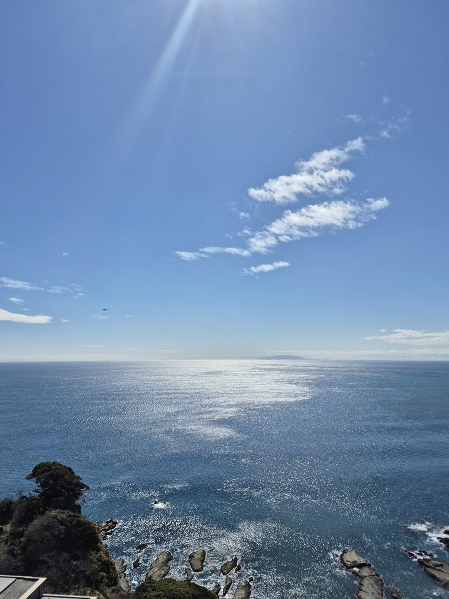 WarriorPosting tweet media