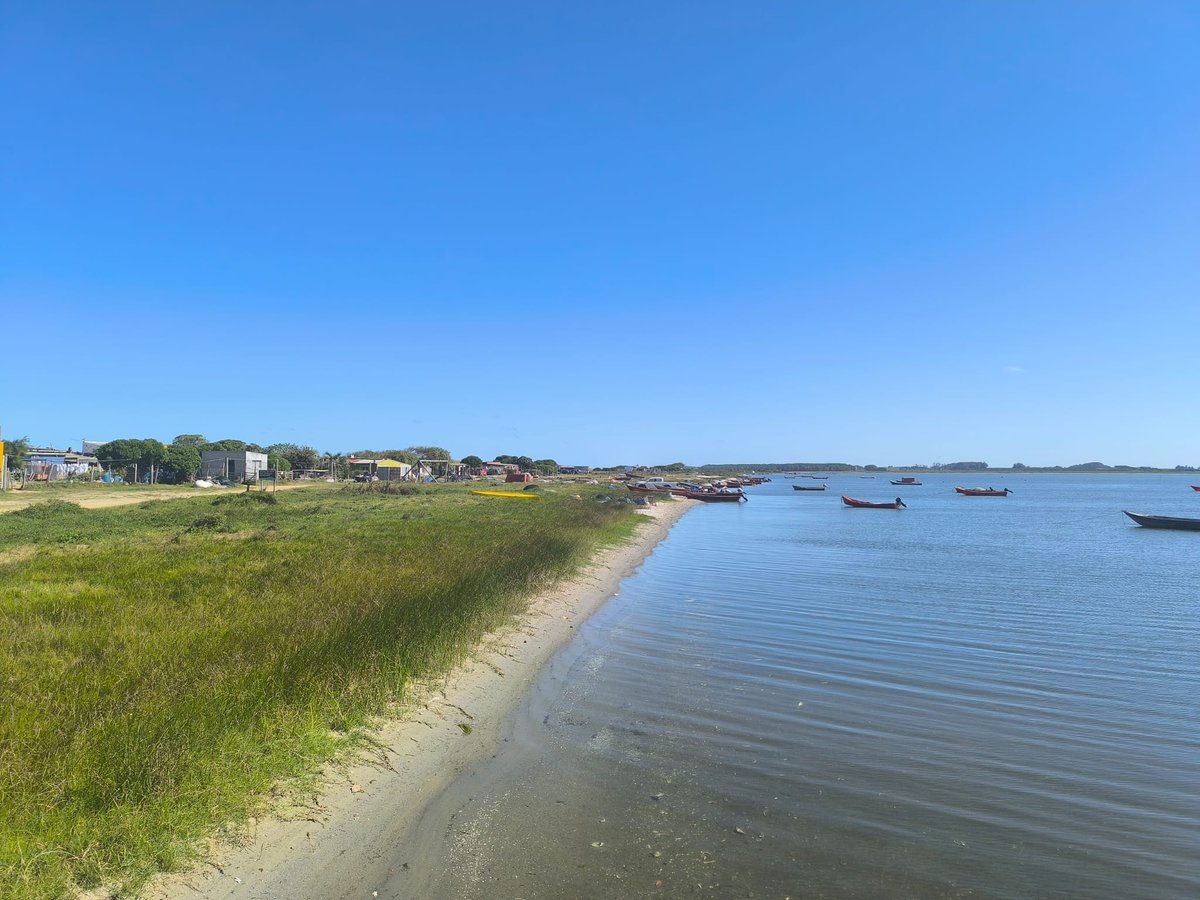 Agronegocios_Uy tweet media