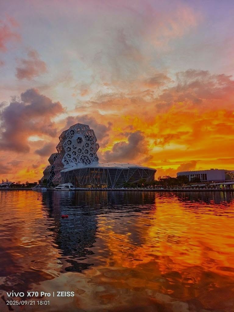 Nick Hansen tweet media