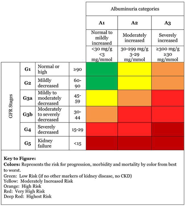 Urine Albumin:Creatinine Ratio (ACR) 🔵 Albumin:Creatinine Ratio (ACR ...