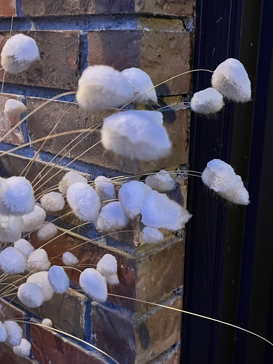 michelle d tweet media