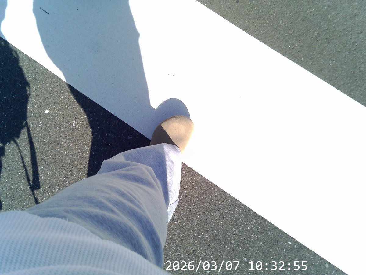 あっつぇる tweet media