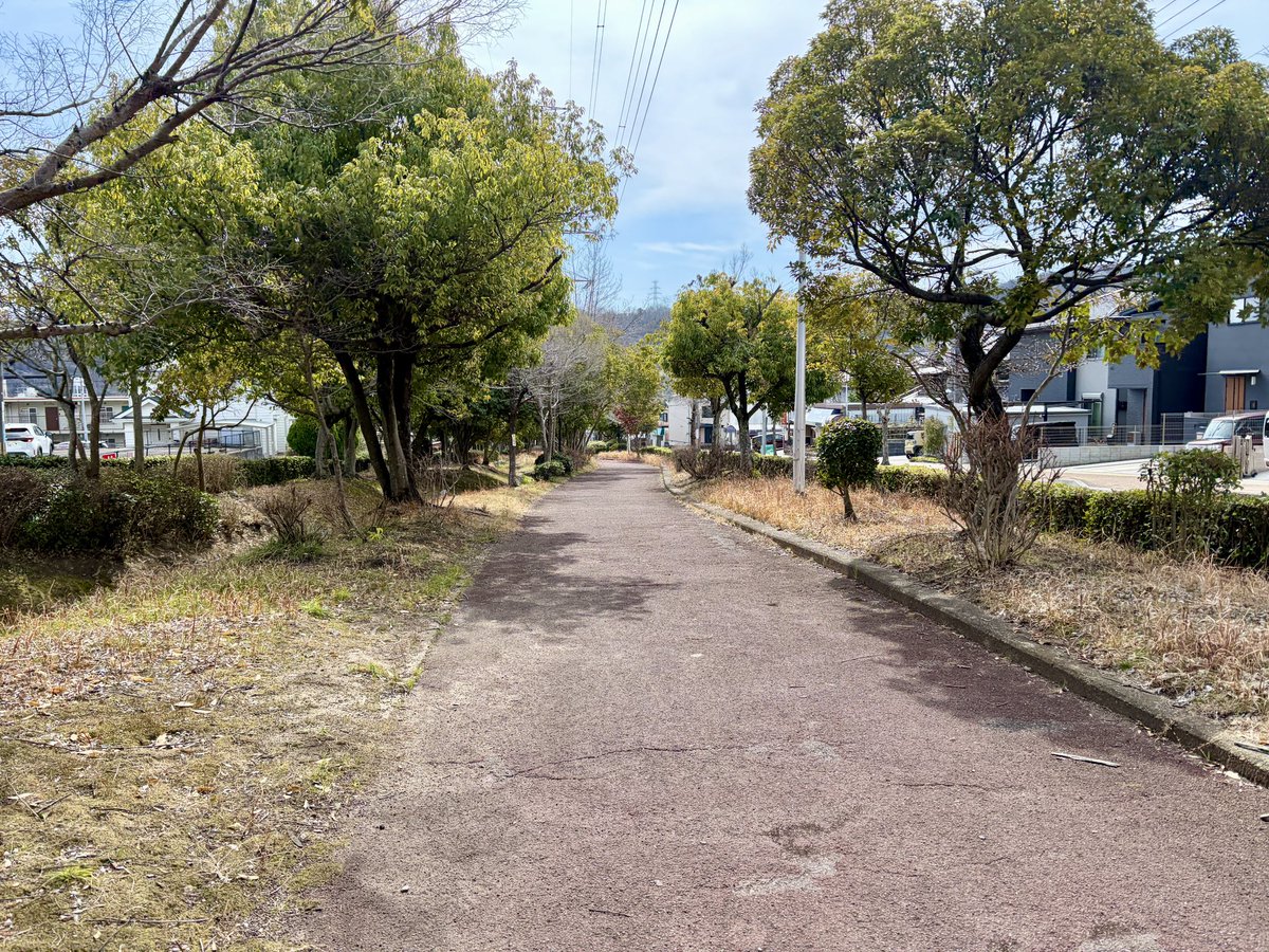 散歩は仕事