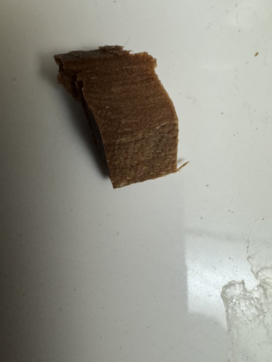 Renegade Cowboy🐾🐾 🌊⚓️🌊🐾🐾 tweet media