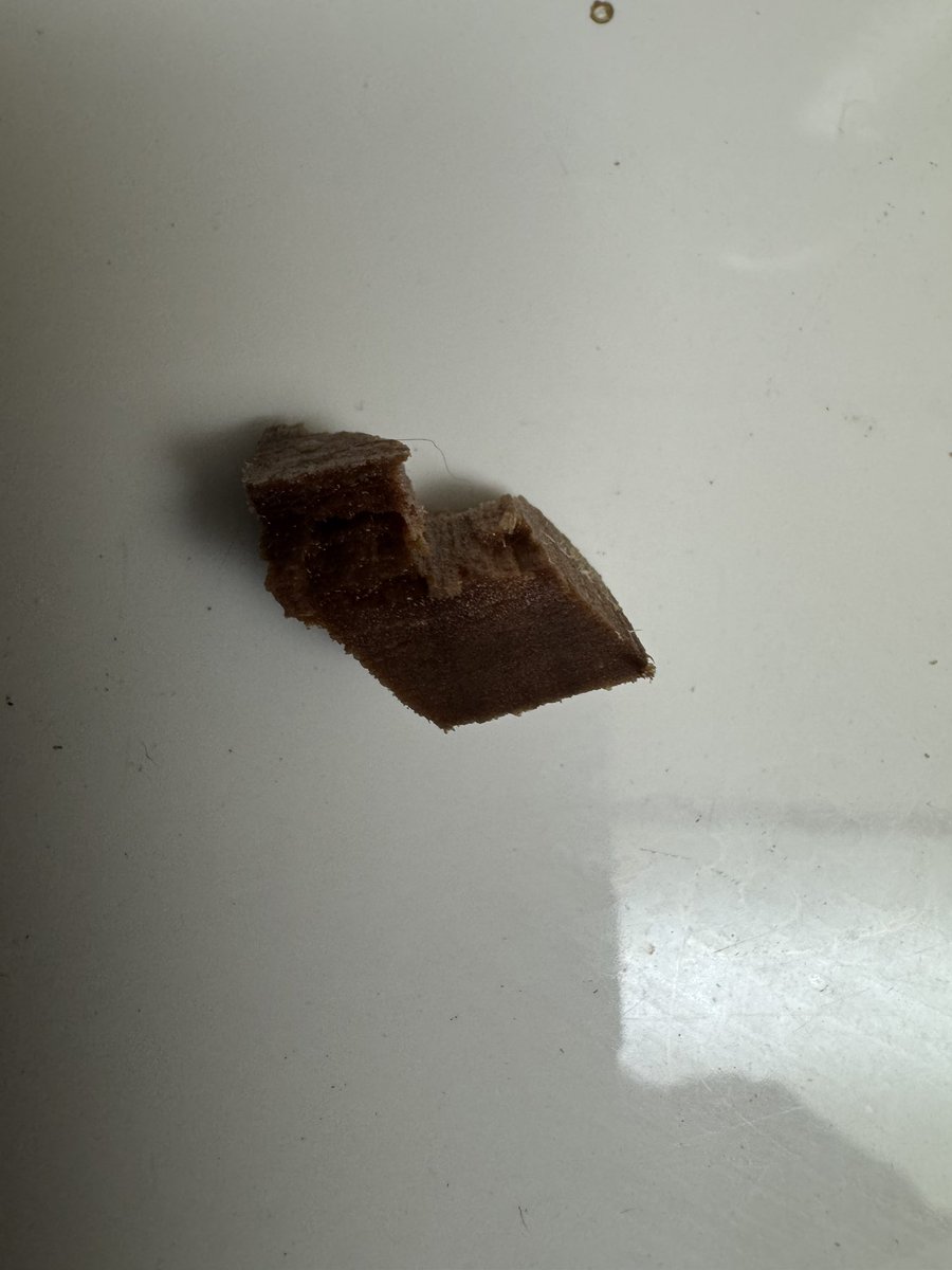 Renegade Cowboy🐾🐾 🌊⚓️🌊🐾🐾 tweet media