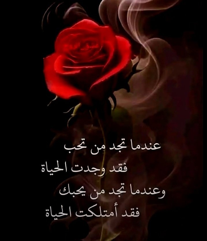 🇸🇦خواطر شموخ العز🇸🇦 tweet media