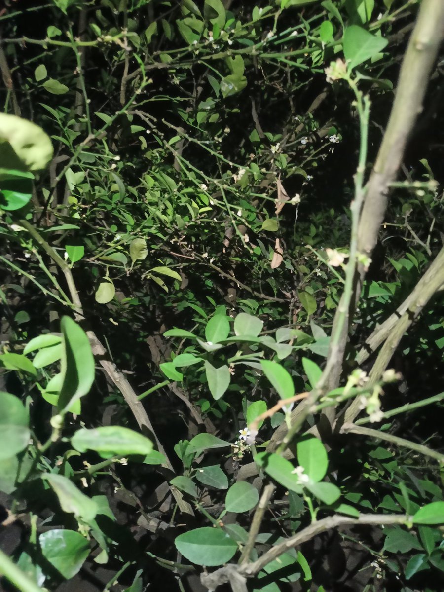 college boy🎒 tweet media