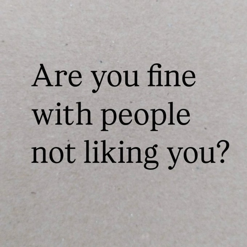 Honey 🛼 tweet media