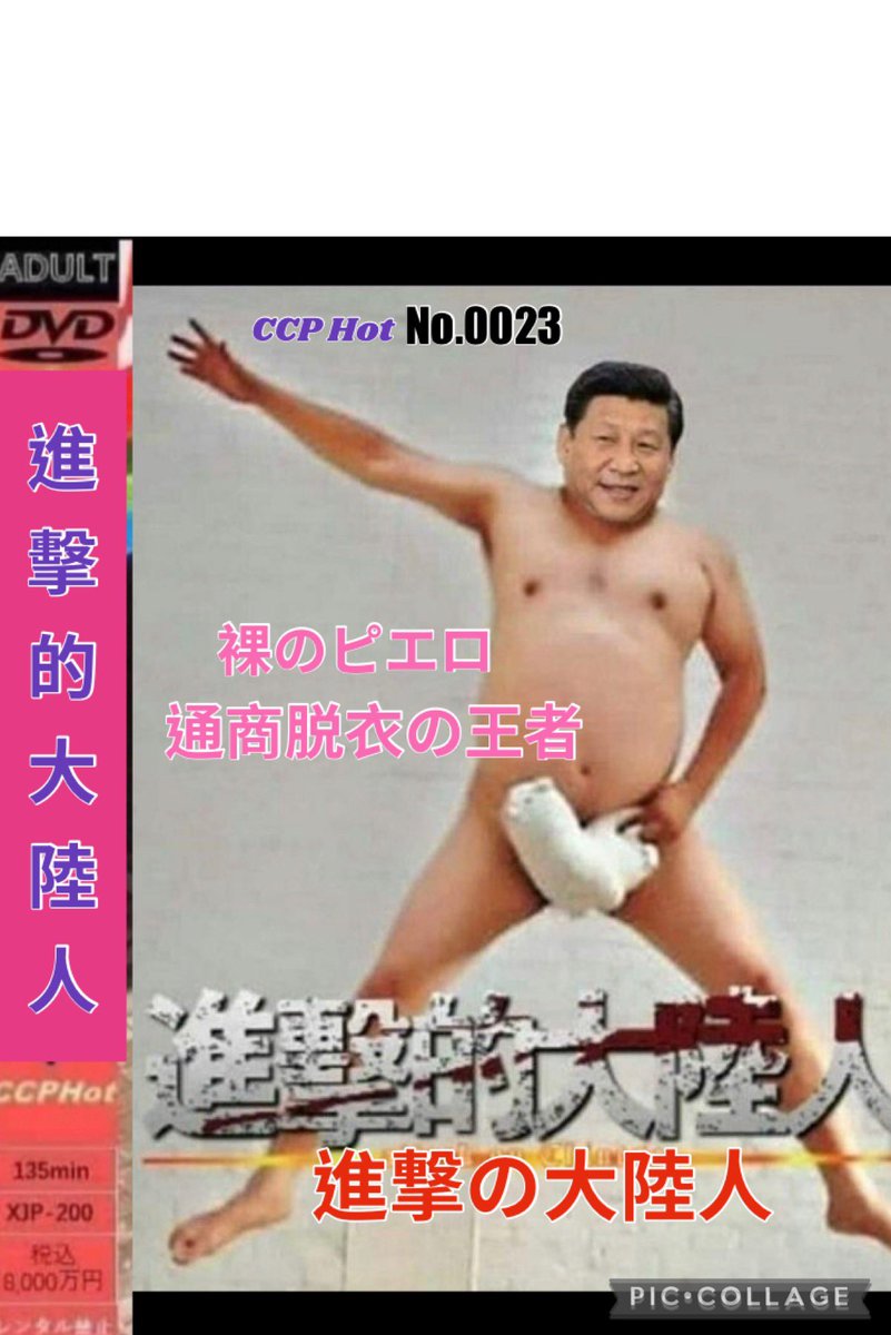 黑熊 tweet media