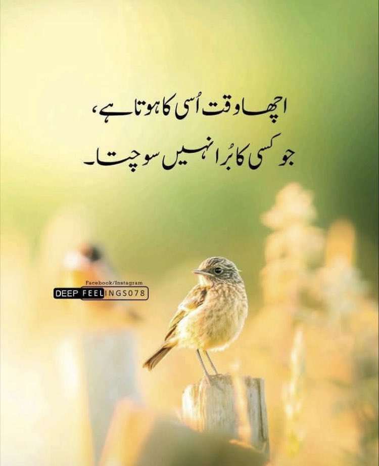 𝐌𝐮𝐡𝐚𝐦𝐦𝐚𝐝 𝐃𝐚𝐧𝐢𝐬𝐡 tweet media
