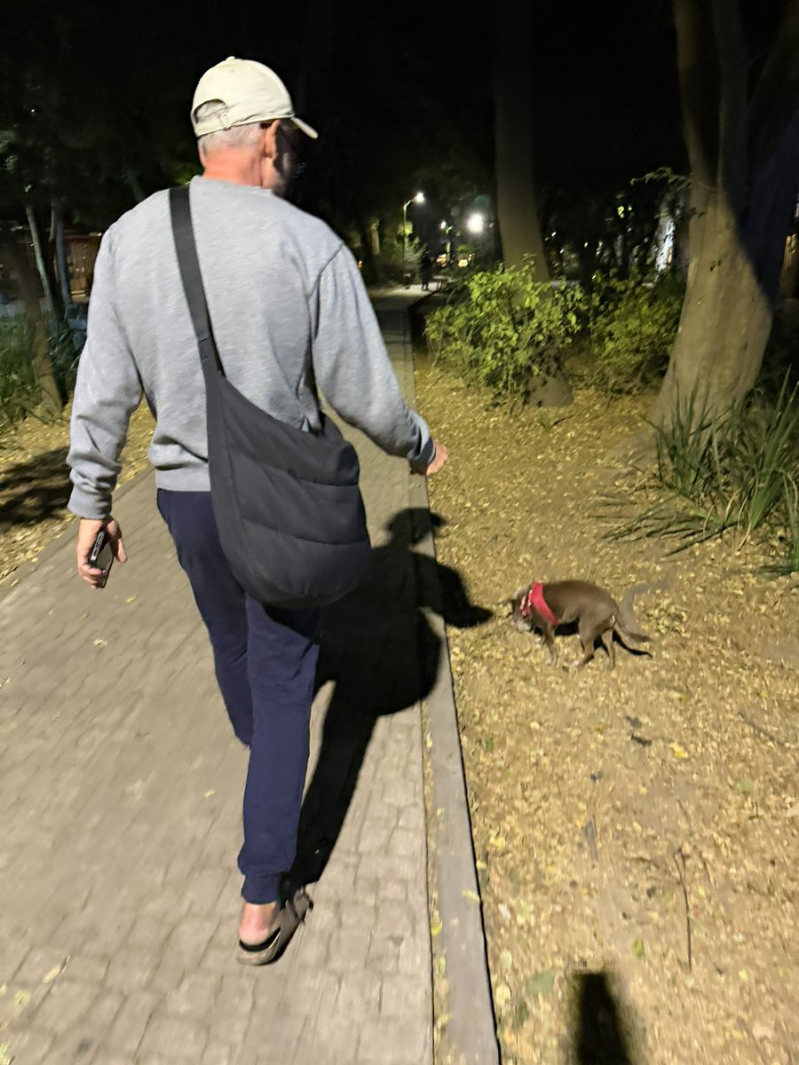 Sofia Macias Liceaga tweet media