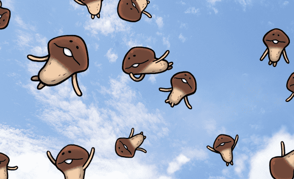 nameko_nnf's tweet photo. んふんふんふんふ〜（明日は明日の風に乗って〜） https://t.co/zg9h69ZI8Y