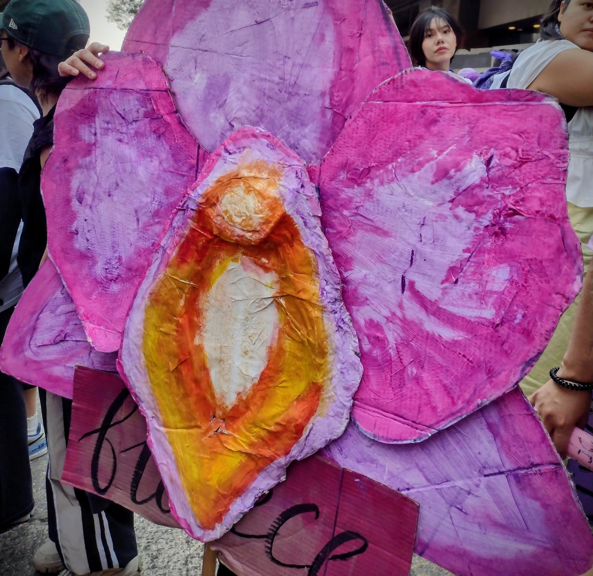 Colectiva Mujeres Barrio Adentro tweet media