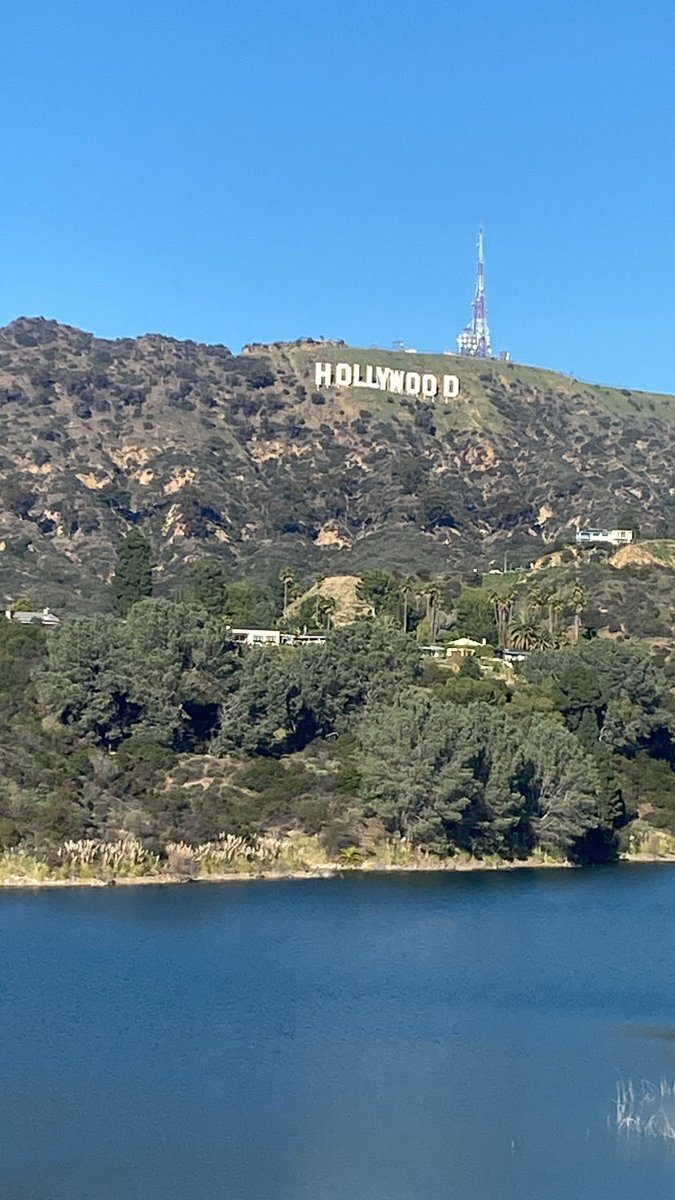 Kim Kendall tweet media