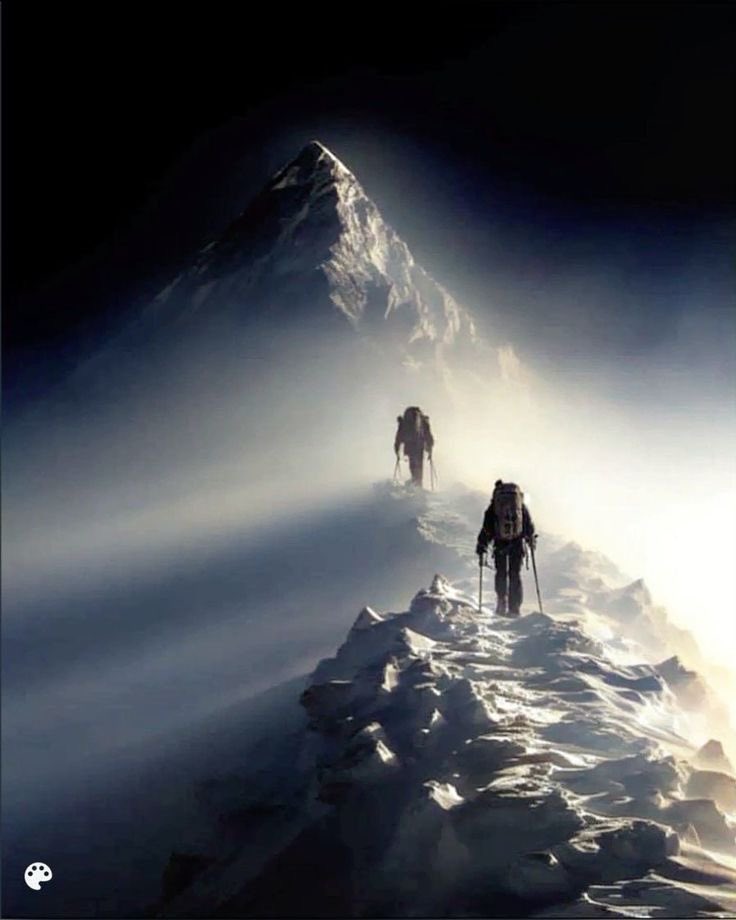 Downloaded tweet media